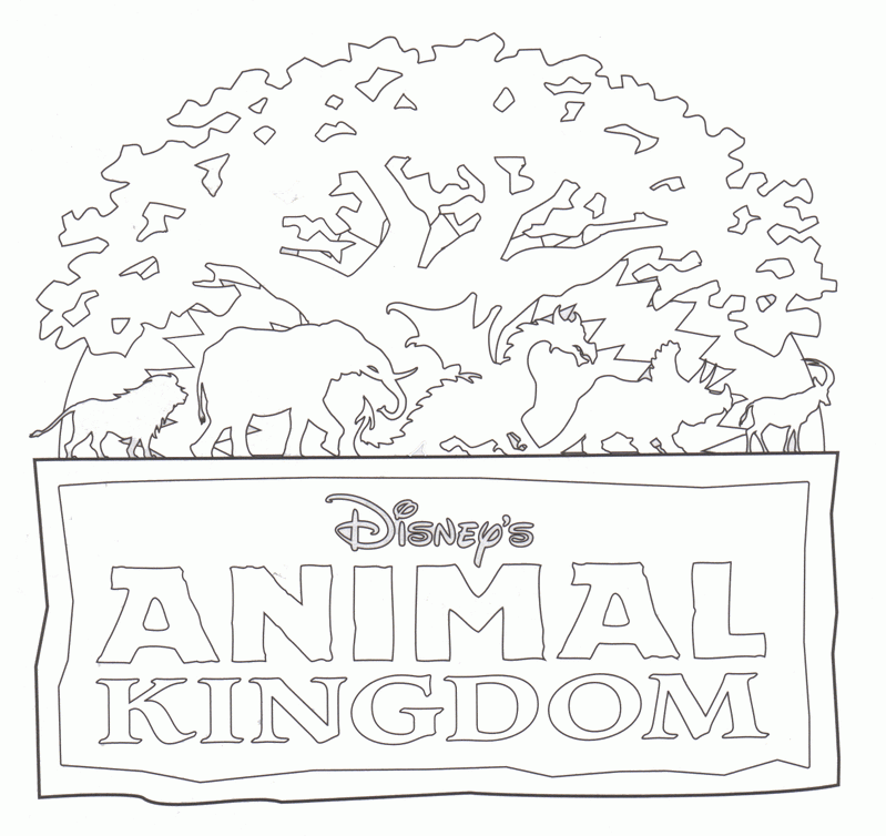 Animal Kingdom - The Tree of Life - Walt Disney World Resort