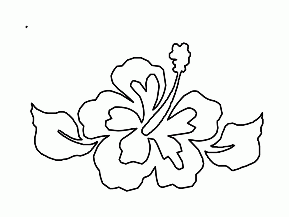 Tropical Flowers - Coloring Pages for Kids and for Adults