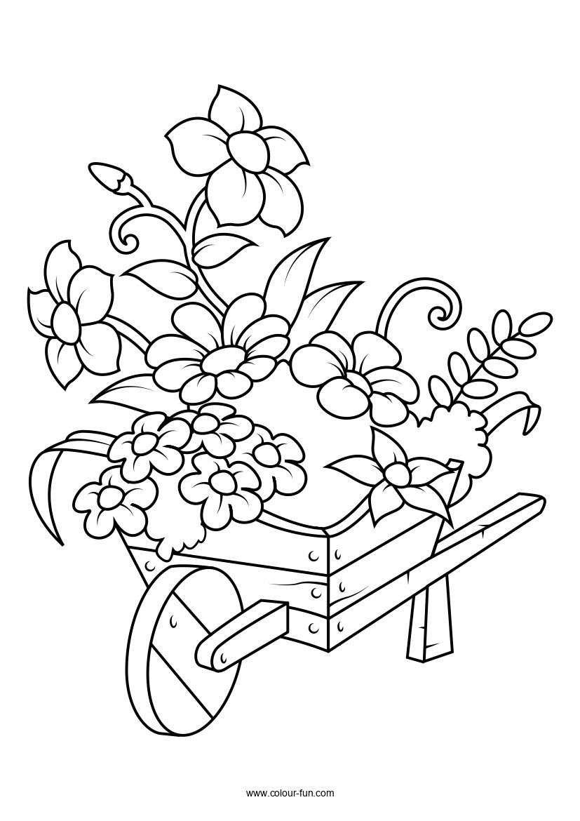 Free Flower Colouring Pages | Colour Fun | Flower coloring pages, Coloring  pages, Colouring pages