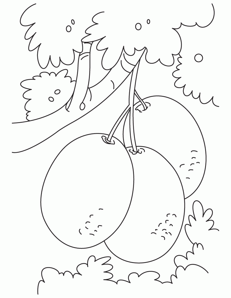 tree Kiwi Fruit Coloring Pages for kids | Great Coloring Pages | Fruit coloring  pages, Coloring pages, Coloring pages for kids