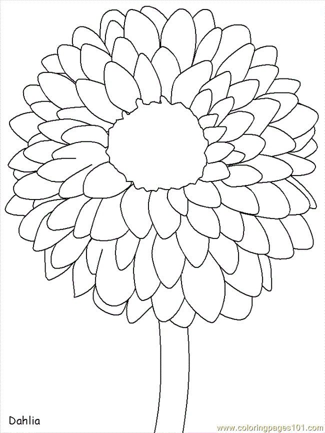 free printable coloring pages of flowers for kids