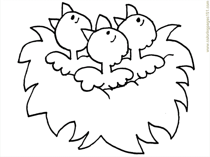 Birds Nest Coloring Pages Printable - Coloring Pages For All Ages