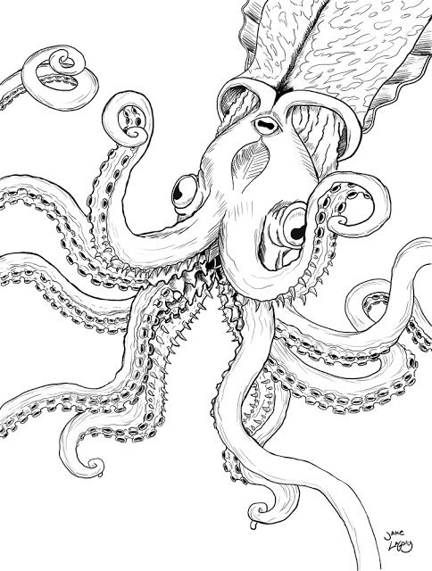 Jake LaGory- illustrator: Cryptozoology Coloring Book- Kraken | Kraken,  Coloring books, Cryptozoology