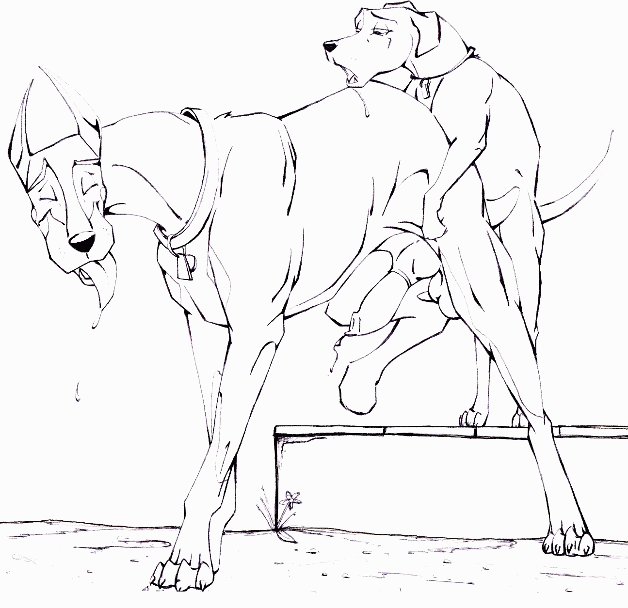 Balto 2 Coloring Pages - High Quality Coloring Pages