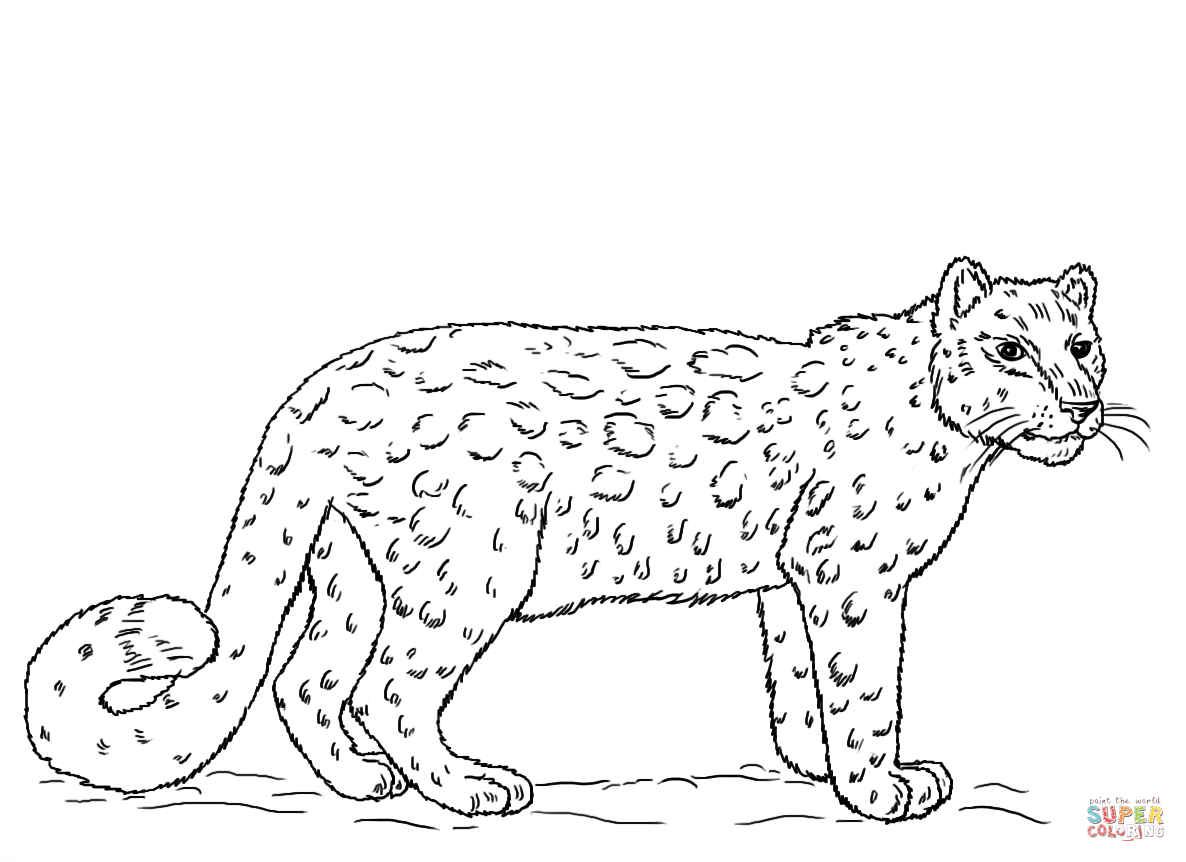 Snow leopards coloring pages | Free Coloring Pages