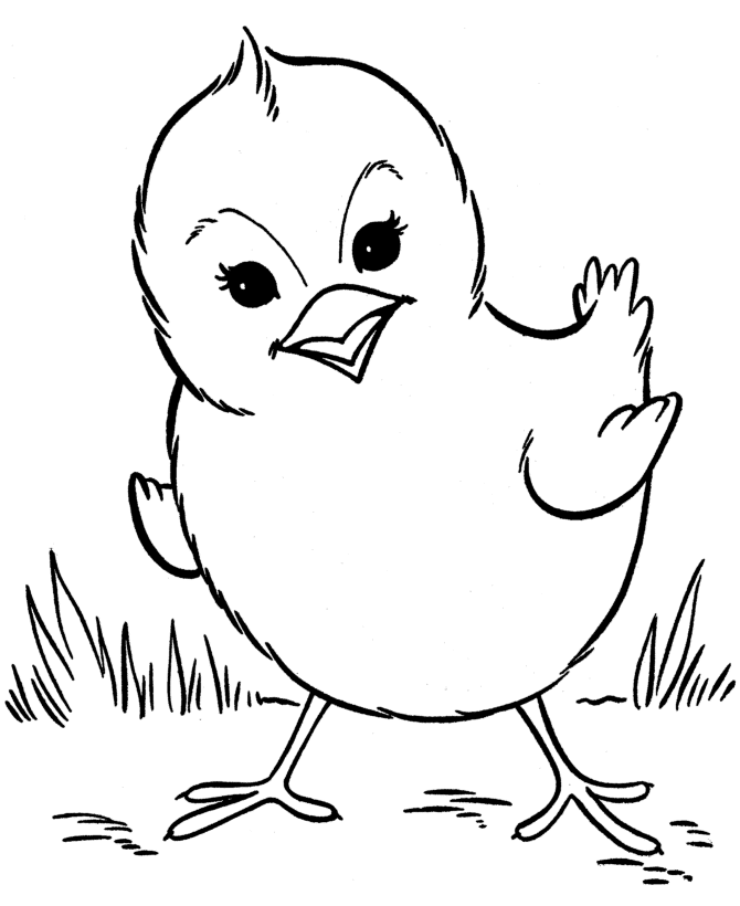 Easter Chick Coloring Pages - Perky little chick easter coloring ...