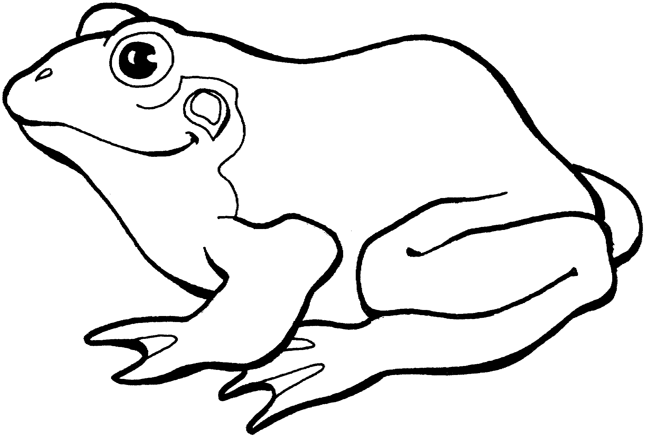 crazy frog coloring pages - Frog Coloring Pages Printable | Frog coloring  pages, Animal coloring pages, Frog drawing