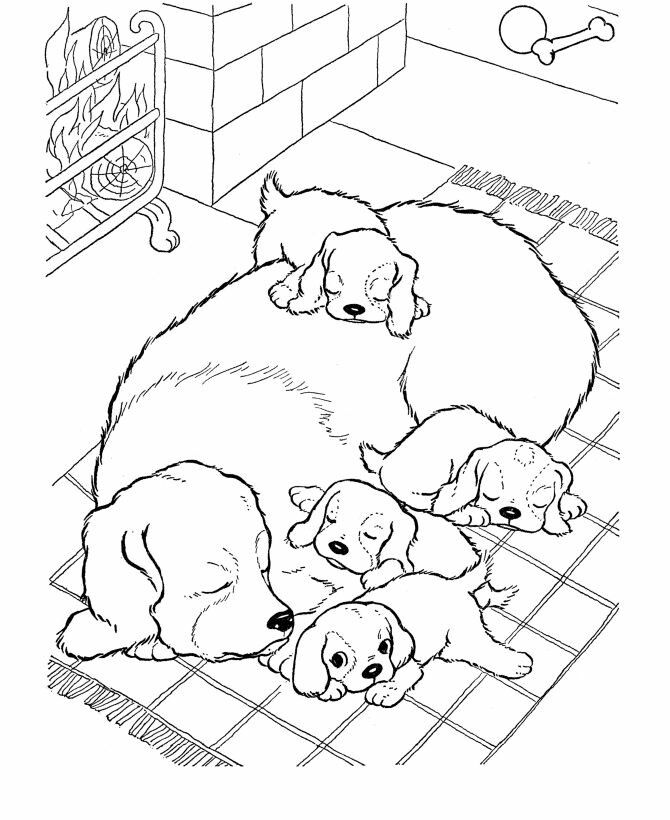 momma & babies | Puppy coloring pages, Dog coloring page, Animal coloring  pages