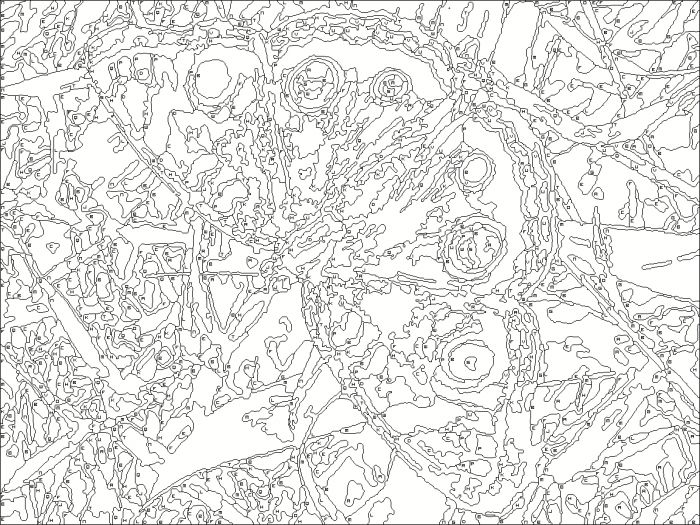 Download Colour By Numbers For Adults Coloring Pages Coloring Home