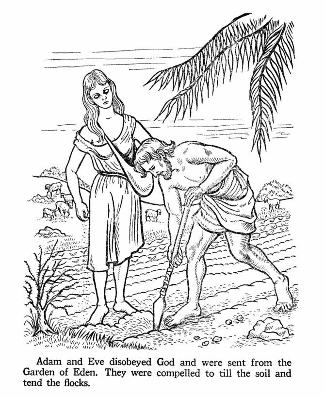 Free Bible Coloring Pages Of Adam And Eve - Coloring Home
