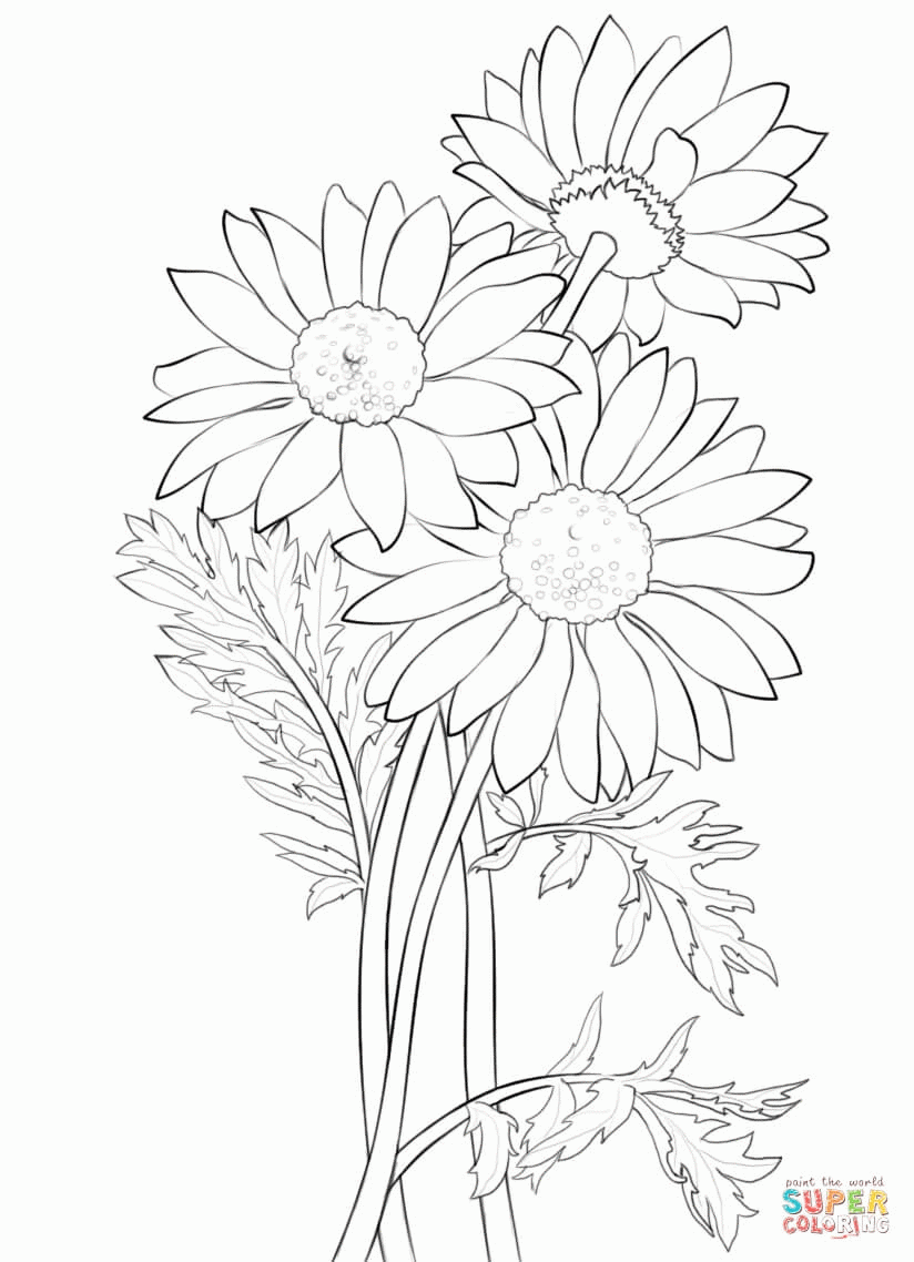 Coloring Page For Yellow Daisy Petal - Coloring Home