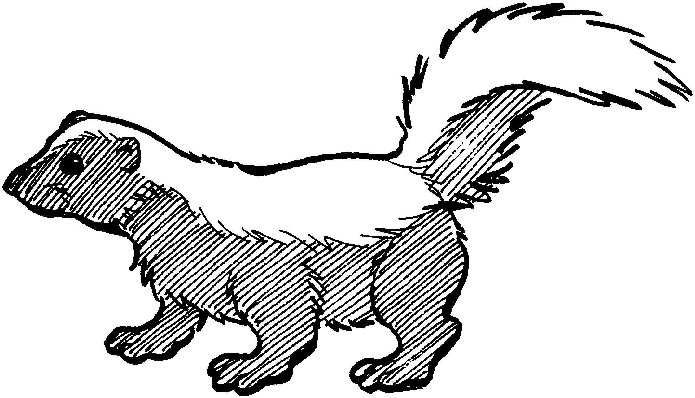 Flower The Skunk Coloring Pages   Coloring Home