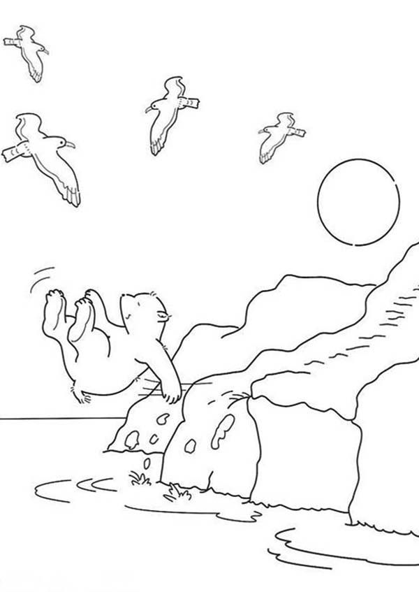 Lars the Little Polar Bear Jump into the Sea Coloring Pages ...