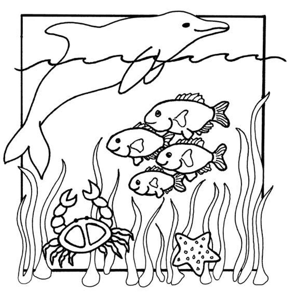 Coloring Pages Of Sea Animals For Kids   Animal Coloring Pages Of ...