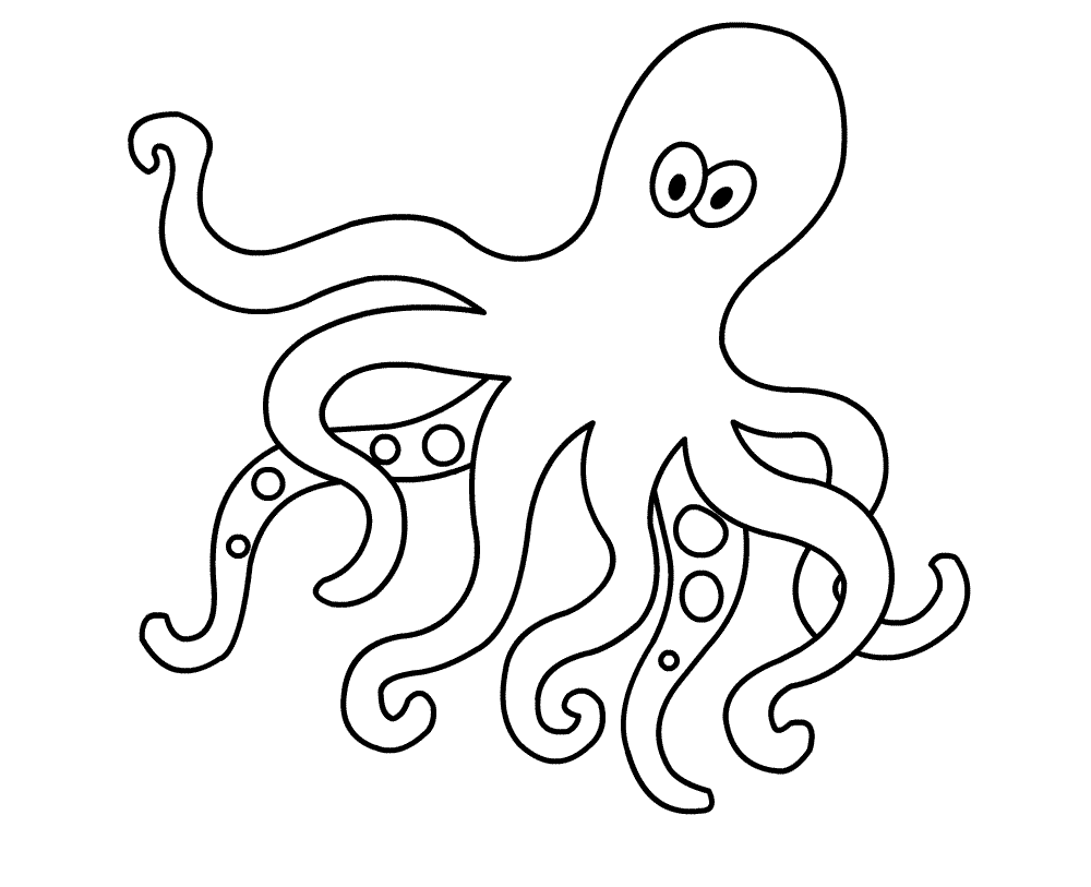 Coloring Pages Of Octopus For Preschoolers   Coloring Home