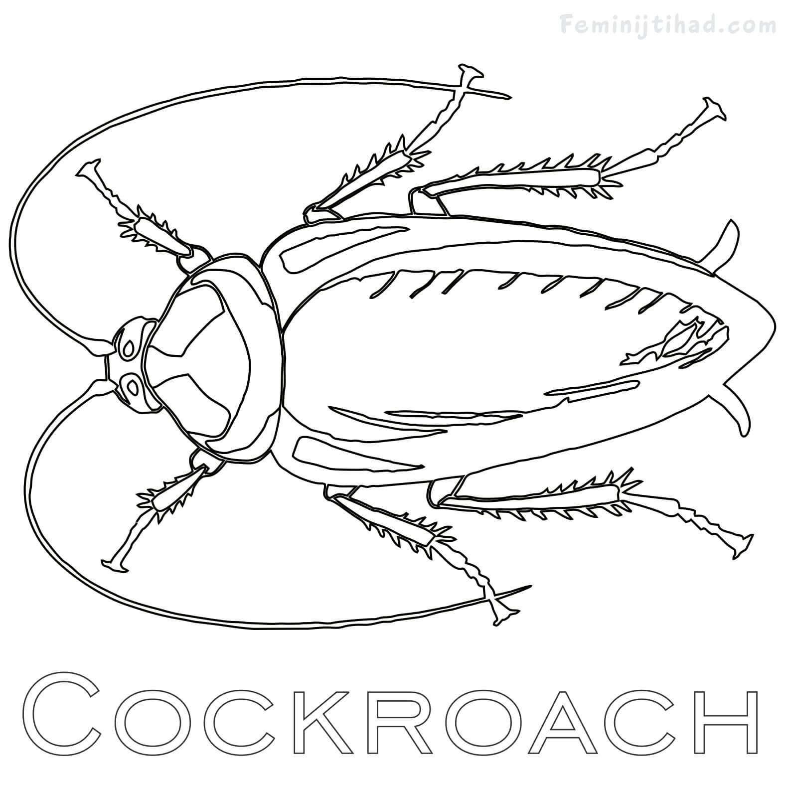 Cockroach Coloring Pages Printable - Free Coloring Sheets | Coloring pages,  Animal coloring pages, Free coloring sheets