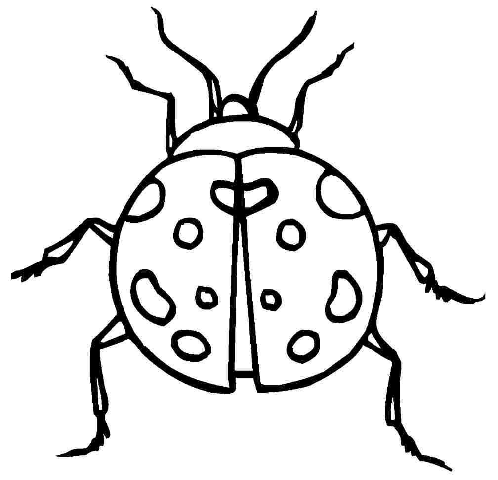 Ladybird On a Leaf coloring page - Free Coloring Library
