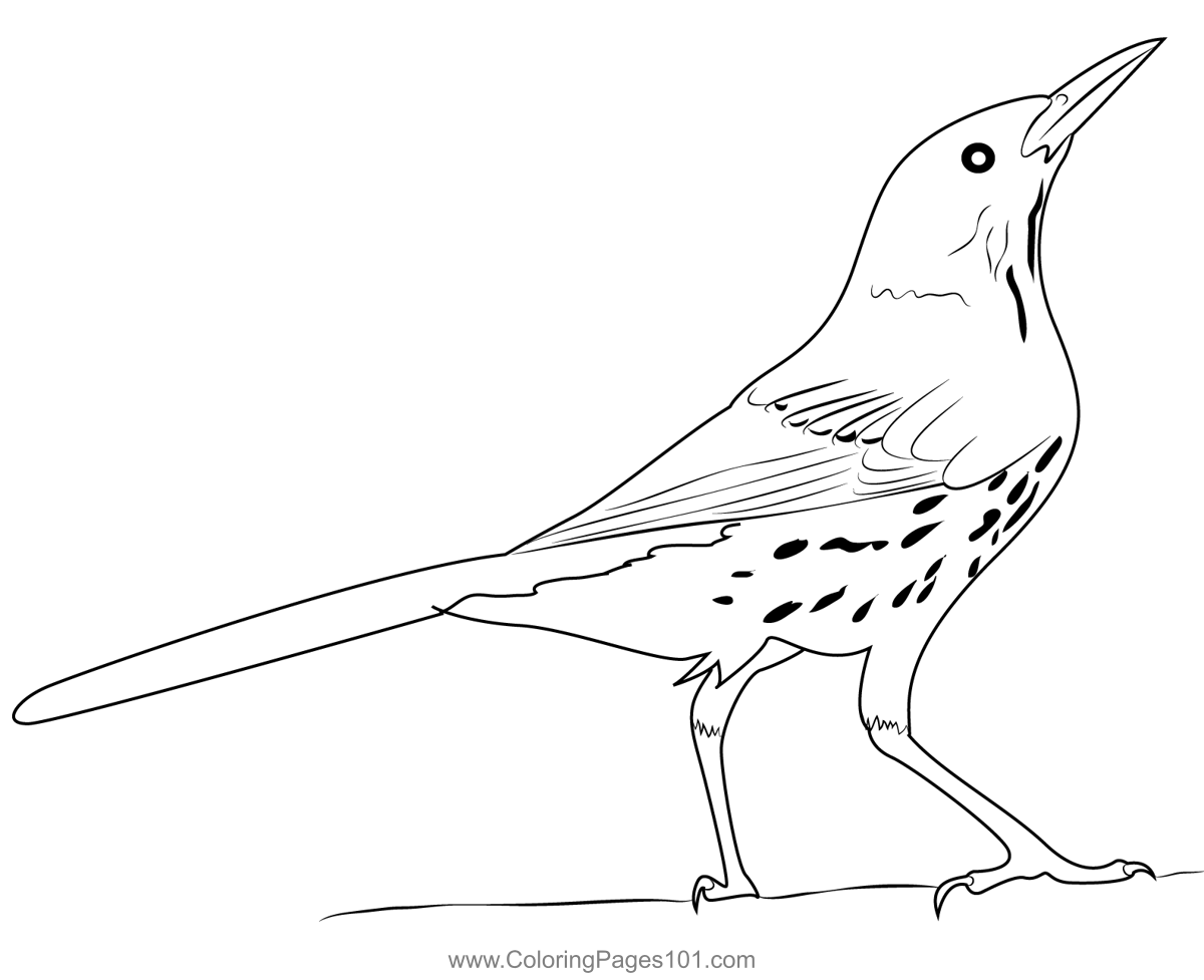 Brown Thrasher 4 Coloring Page for Kids - Free Mockingbirds Printable Coloring  Pages Online for Kids - ColoringPages101.com | Coloring Pages for Kids