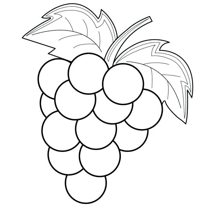 Grapes Coloring Page Coloring Page For Kids. Coloring Page, Animal