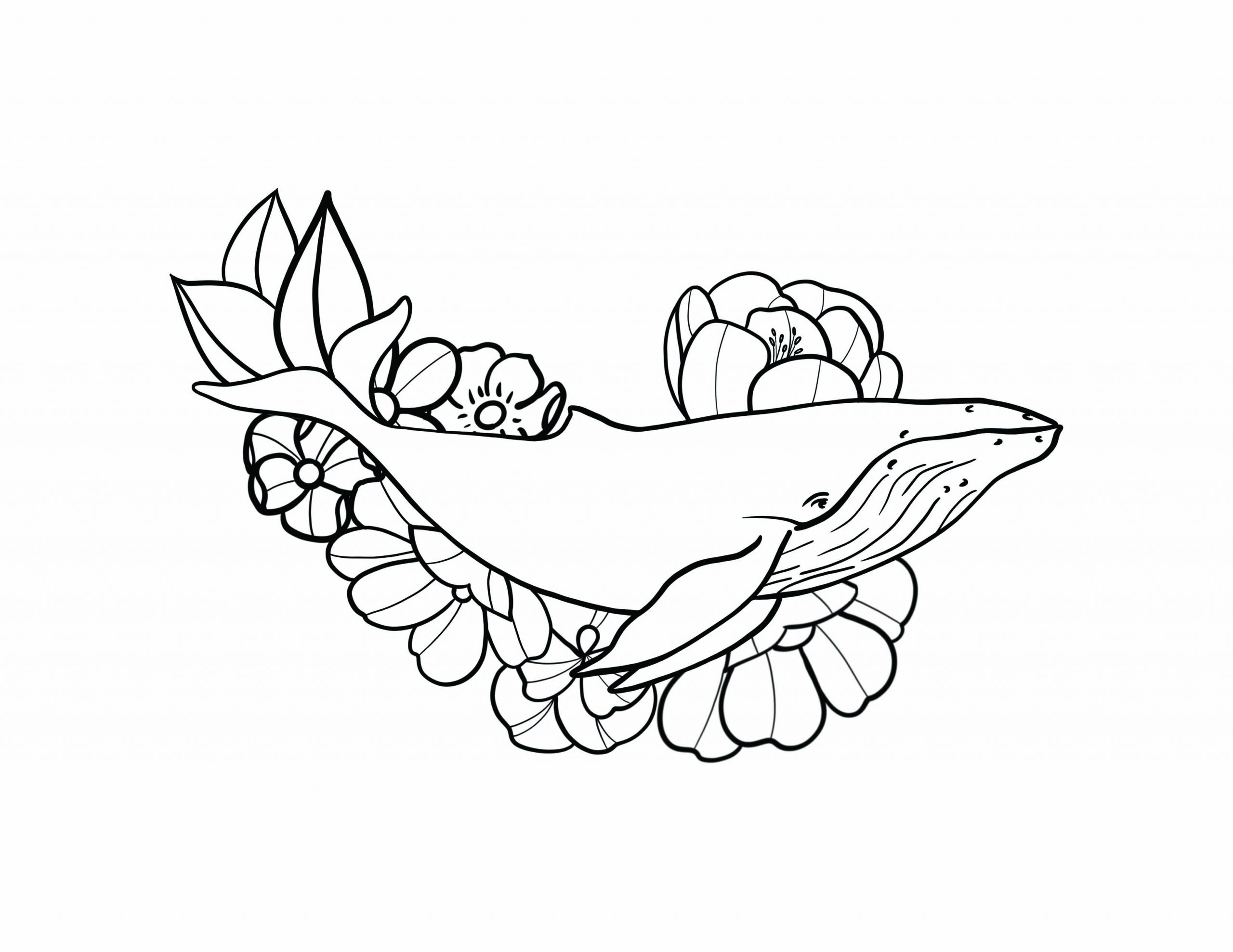 FREE Coloring Page: Humpback Whale Bouquet - Inktion