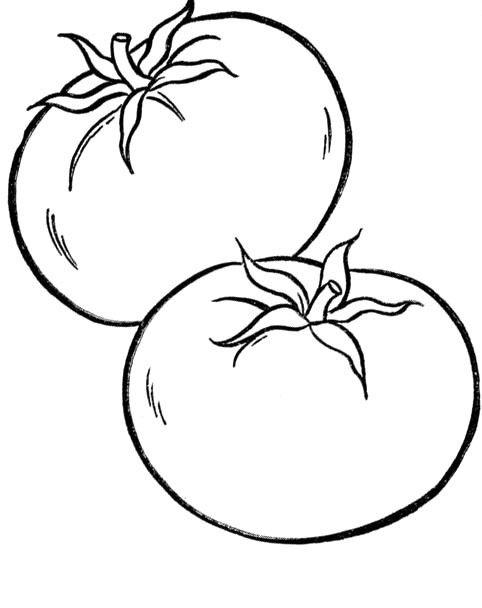 Tomato For Coloring Coloring Pages