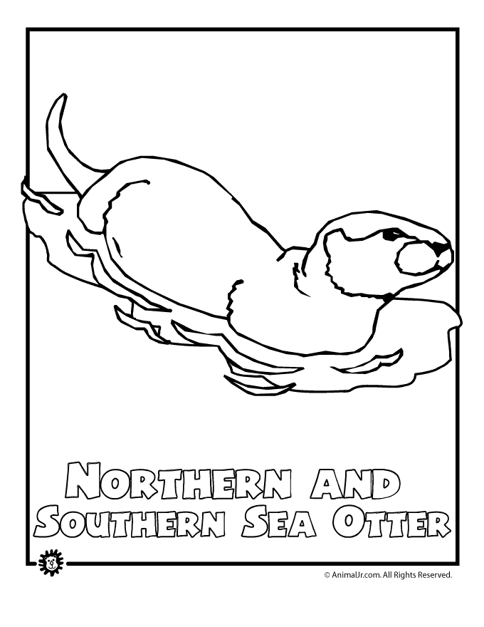 North American Animals Coloring Pages Cats in north america ...