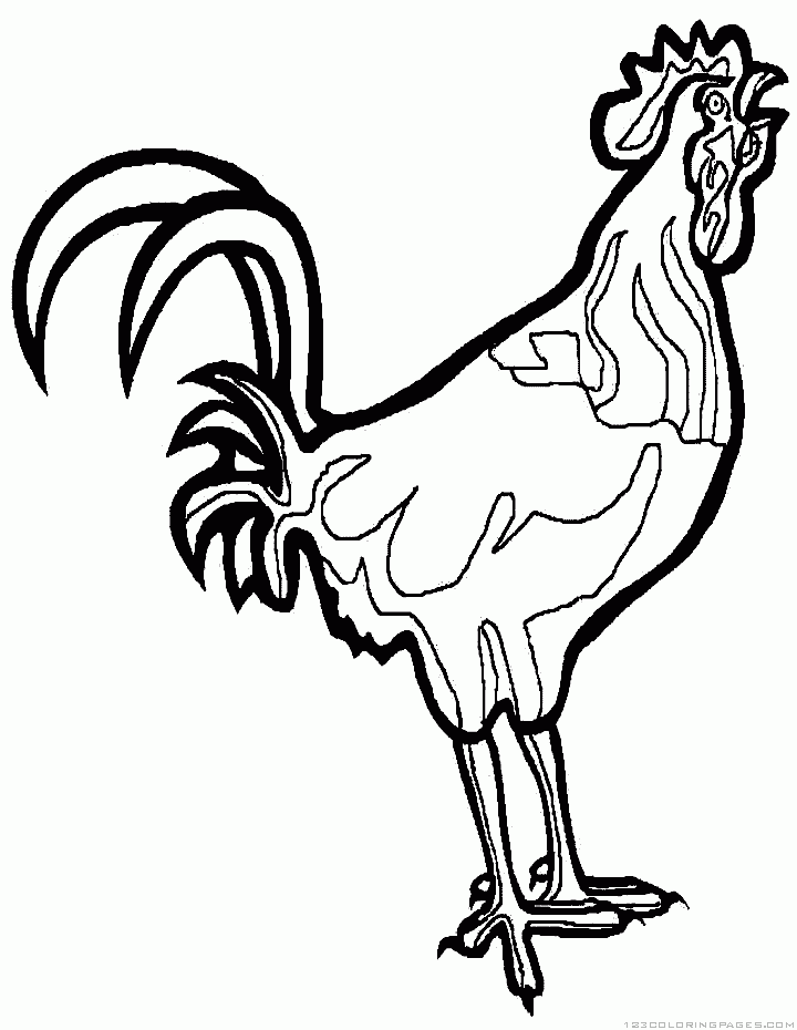 Rooster Coloring Pages - Part 6