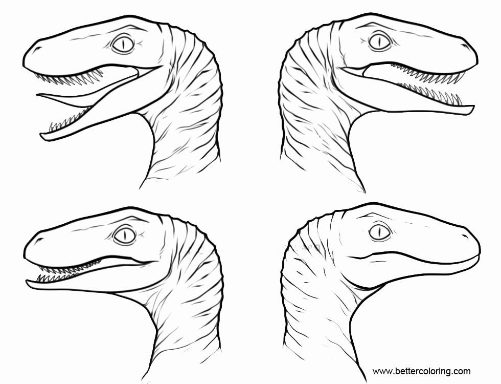 raptor coloring pages  coloring home