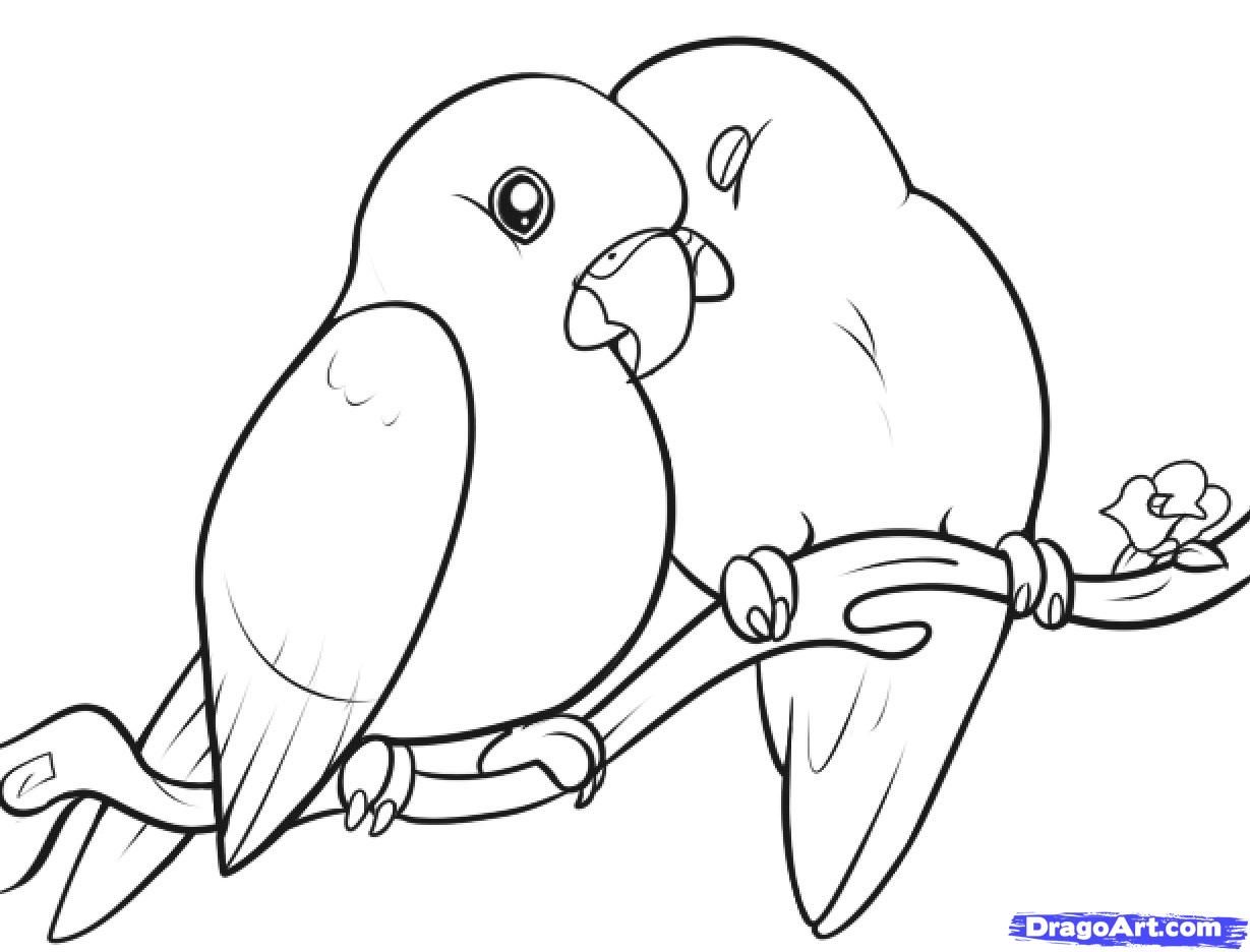 lovebirds on a branch | how to draw lovebirds step 10 | Bird drawings, Love  birds drawing, Drawing pictures of birds