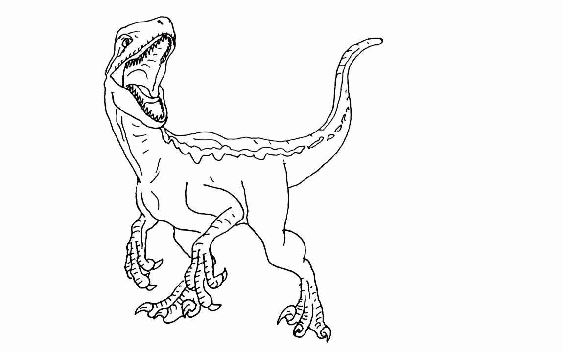 Indominus Rex Coloring Page Lovely Indominus Rex Picture Jurassic World Coloring  Pages in 2020 | Coloring pages, Family coloring pages, Flower coloring pages