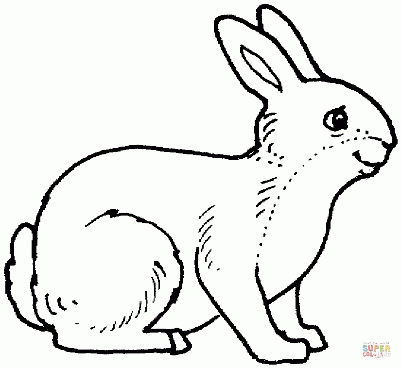 Kindergarten Easter Bunny Coloring Pages, Education Bunny Coloring ...