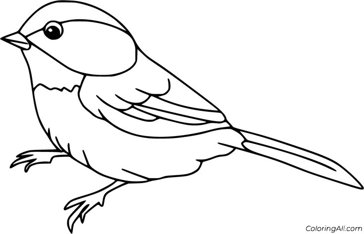 21 free printable Sparrow coloring pages in vector format, easy to print  from any device and automatic… | Bird coloring pages, Bird painting  acrylic, Coloring pages