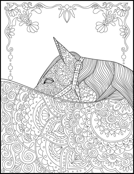 Horse Lover Adult Coloring Pages Coloring for Adults | Etsy