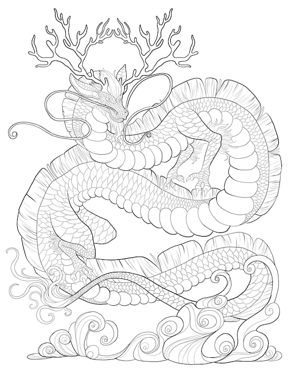 PDF DIGITAL 24 Dragon Coloring Pages VOL. 3/fantasy Adult - Etsy