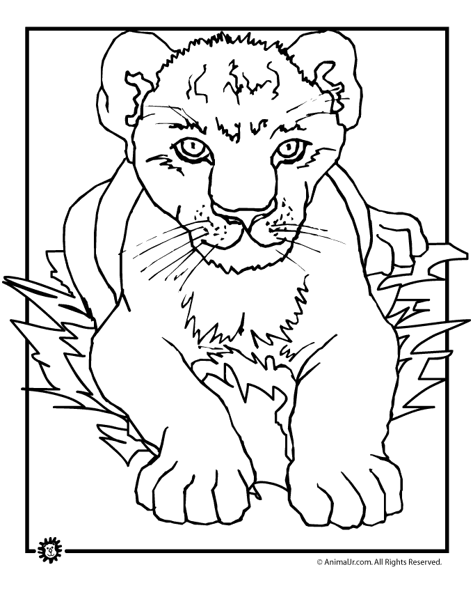 Lion Cub Coloring Page | Woo! Jr. Kids Activities : Children's Publishing