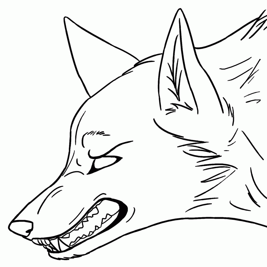 Coloring Pages Of Anime Wolves   Coloring Home