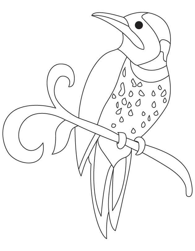 Yellowhammer Coloring Pages