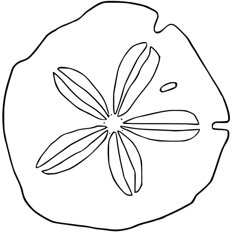 Sand Dollar 3 Coloring Page - Free Printable Coloring Pages for Kids