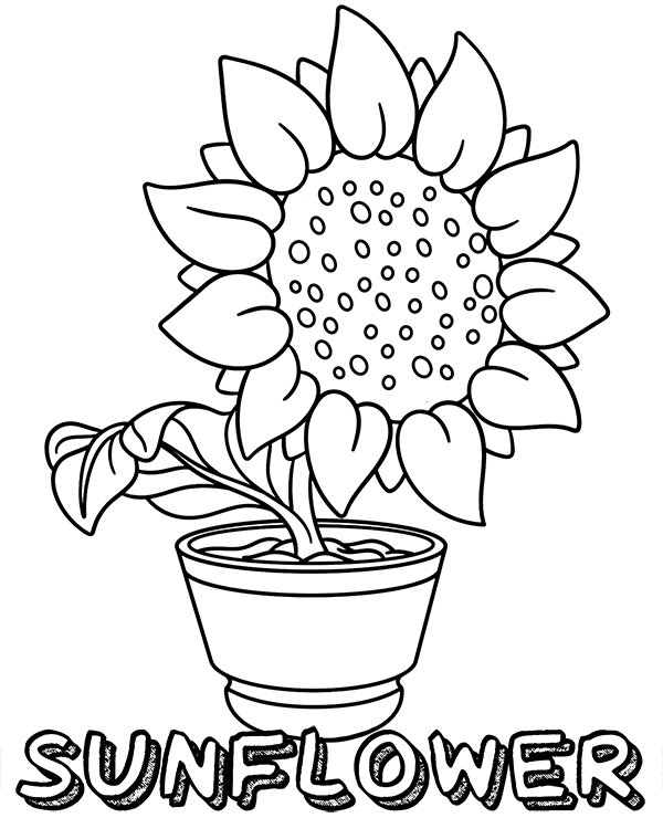 A simple sunflower coloring page, sheet