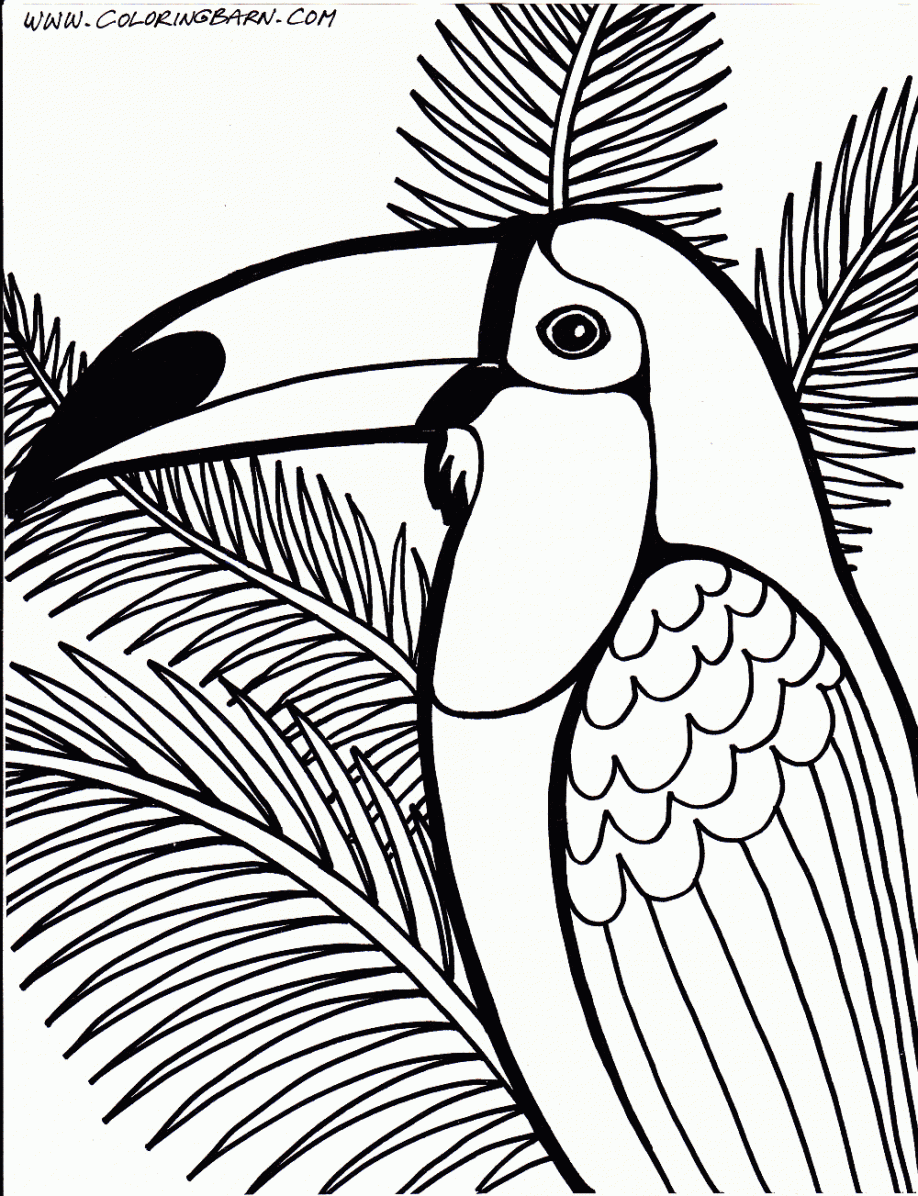 Rainforest Trees Coloring Pages Rainforest Trees Colouring Pages ...