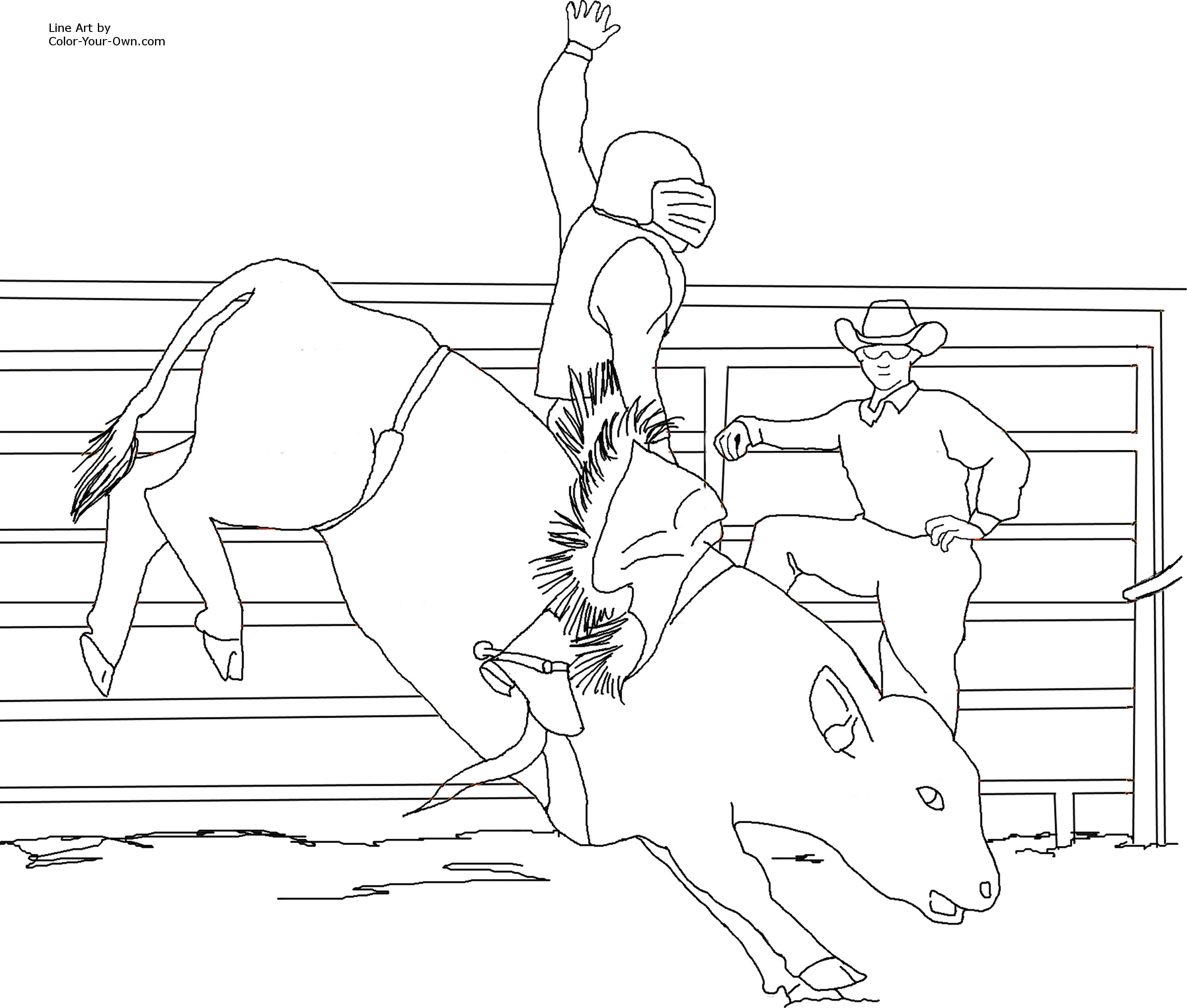 Bull Riding - Coloring Pages for Kids and for Adults