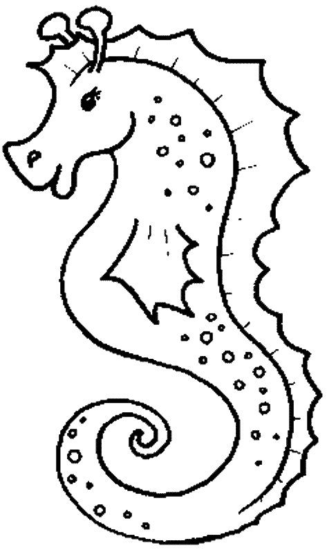 Seahorse coloring page - Animals Town - Free Seahorse color sheet