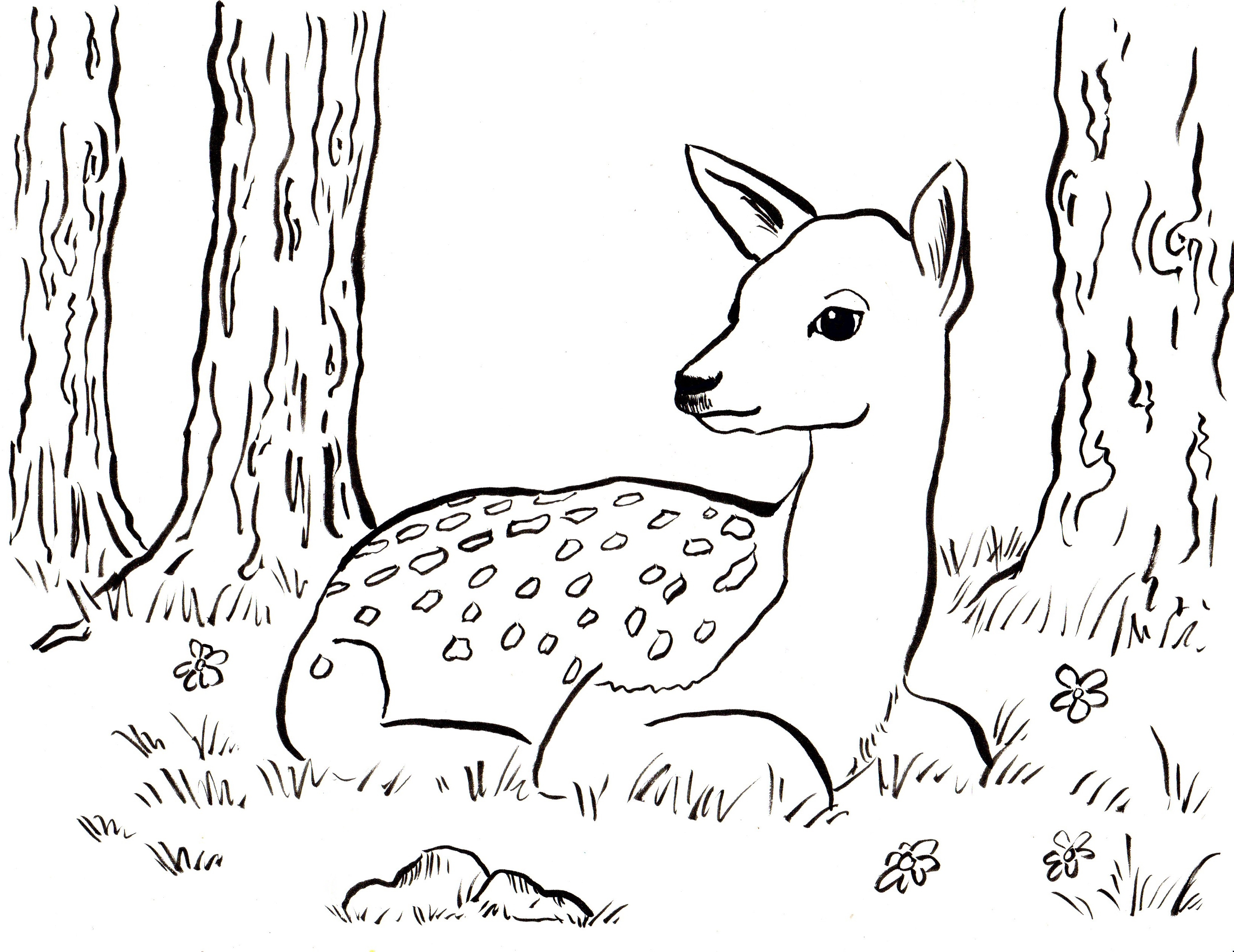 Deer Coloring Pages Printable at GetDrawings | Free download