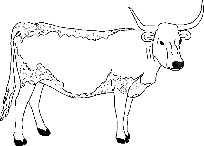 Coloring Pages Of Cows #11699 Design