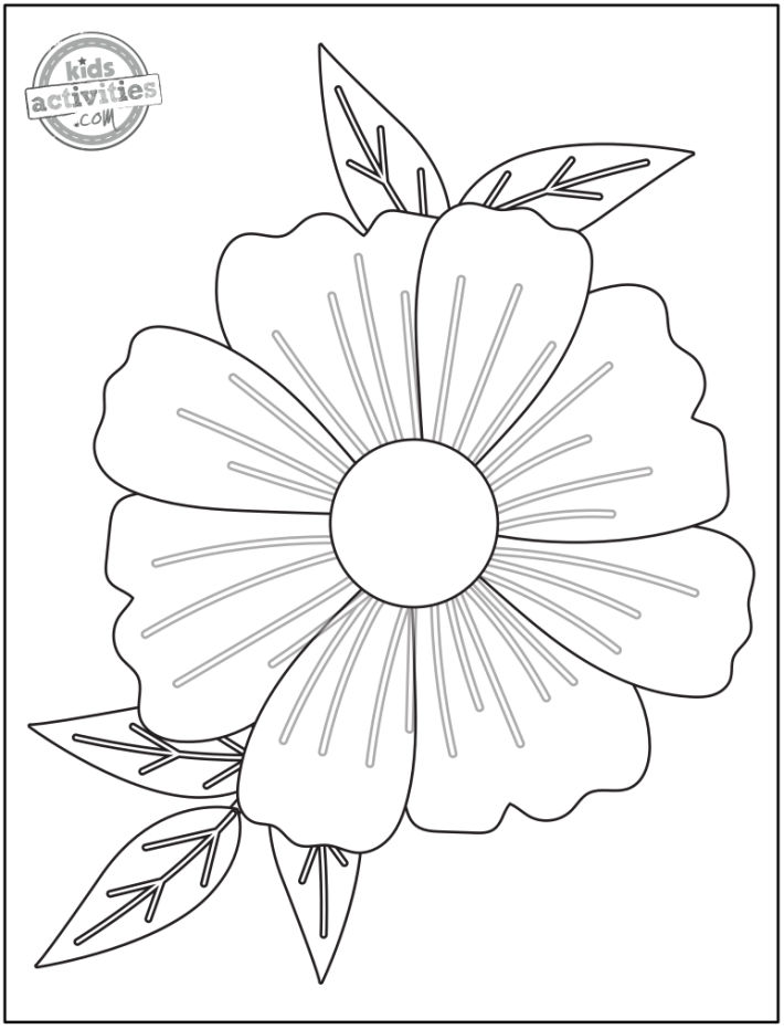 pretty-flower-coloring-page