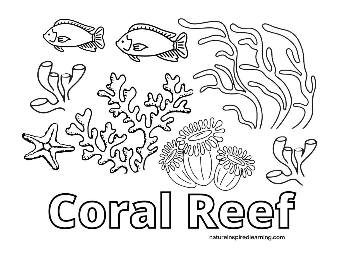 Coral Reef Coloring Pages for Kids - Nature Inspired Learning