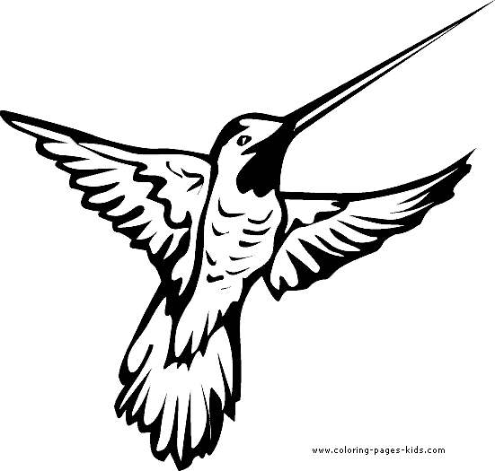 Bird Free Printable Coloring Page - Hummingbird