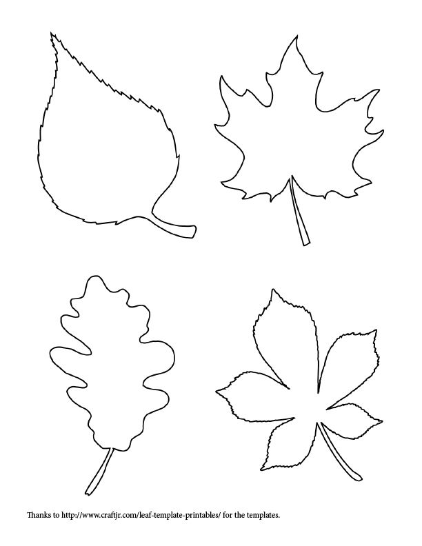 1000+ ideas about Leaf Template on Pinterest | Leaf Patterns ...