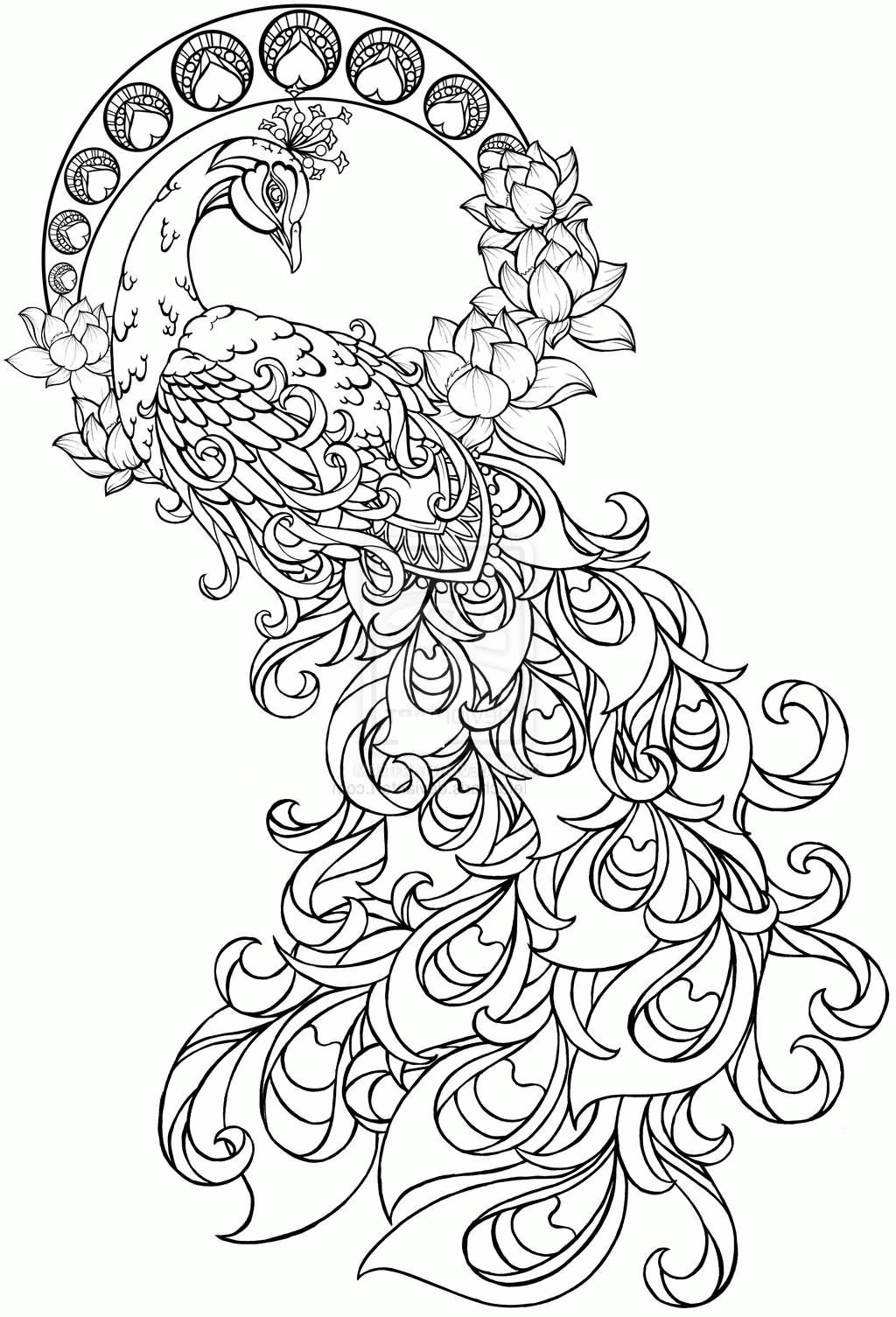 Peacock Coloring Page - Coloring Pages for Kids and for Adults