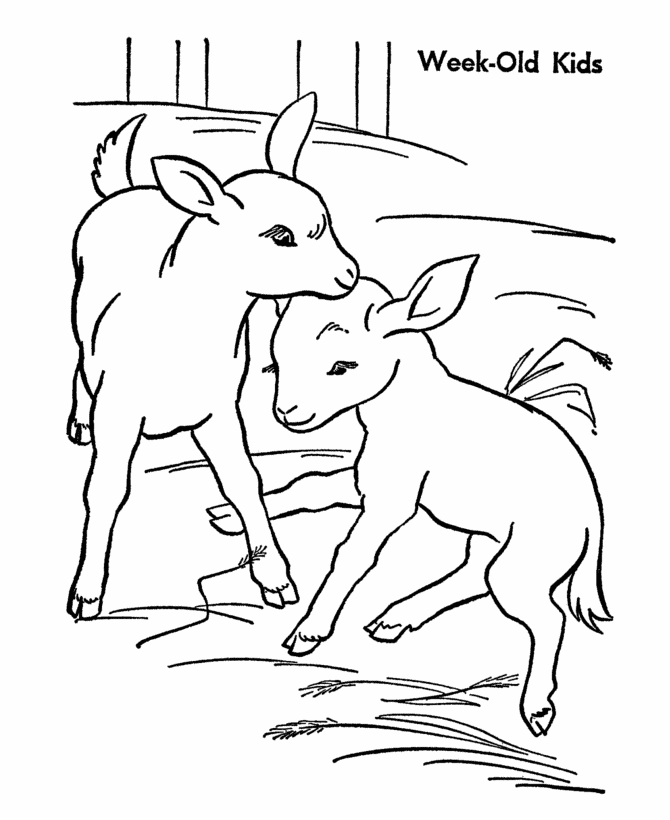 Farm Animal Coloring Pages | Goat Kids Coloring Page and Kids 